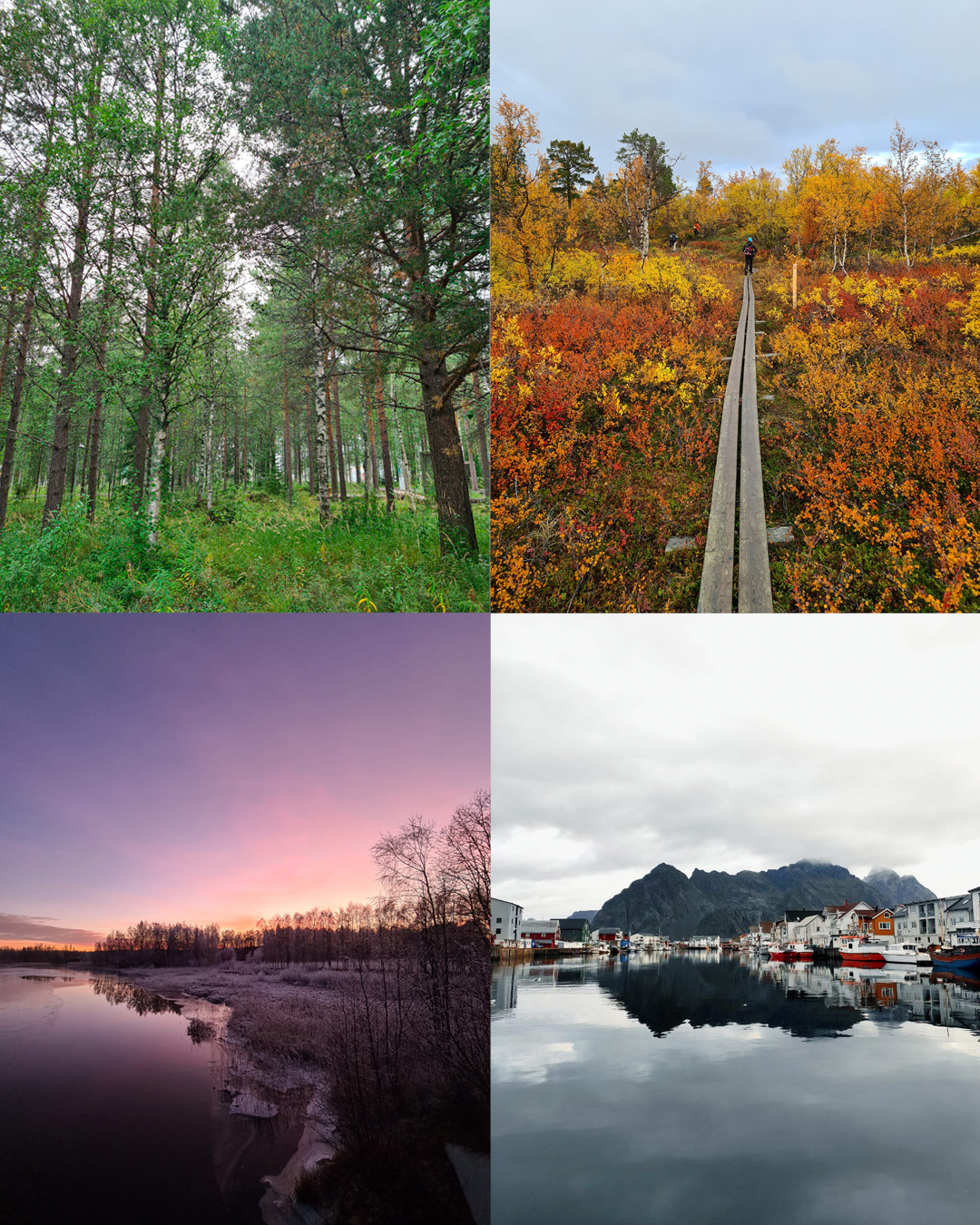 Collage di 4 foto di paesaggi nordici con colori diversi