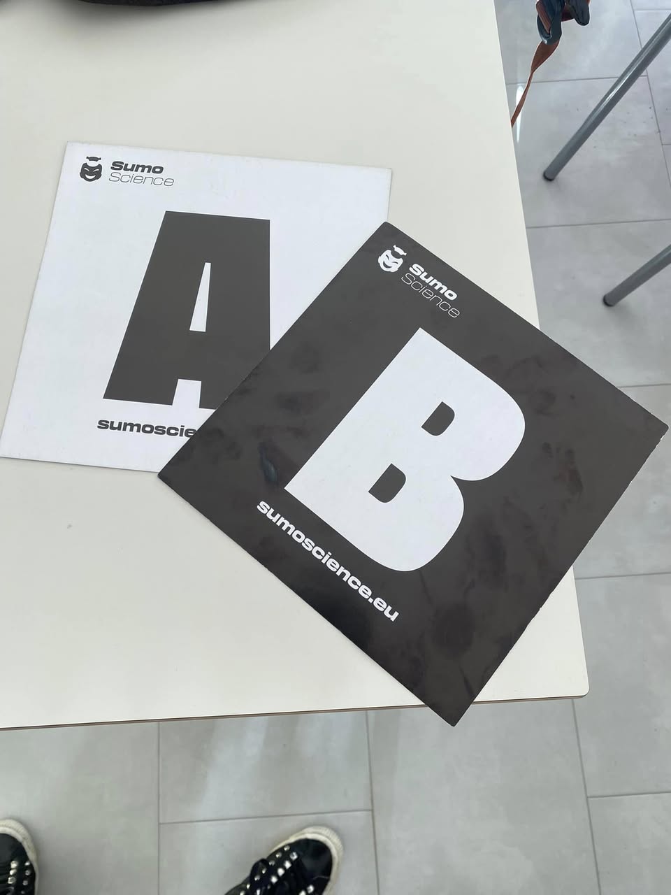 Figura 2. Le schede utilizzate dalla classe IV B AFM della scuola Polo Tecnico Statale G.M. Devilla di Sassari per decretare il campo di ricerca più entusiasmante: Ecologia (A) versus Statistica (B).