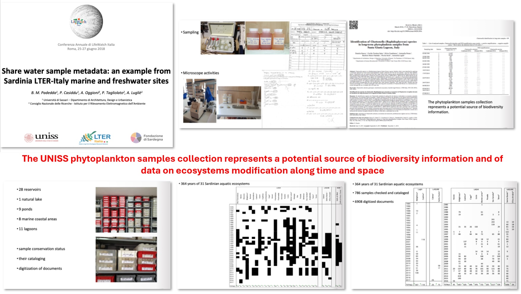 Sintesi della comunicazione orale presentata dal gruppo di Ecologia del DADU all’Assemblea generale di LifeWatch, organizzata in collaborazione con il Segretariato della Presidenza della Repubblica, nel 2018 in cui si evidenzia l’importanza della corretta catalogazione dei campioni di fitoplancton e della digitalizzazione dei relativi documenti riportanti i dati e tutte le informazioni acquisite sui campioni stessi