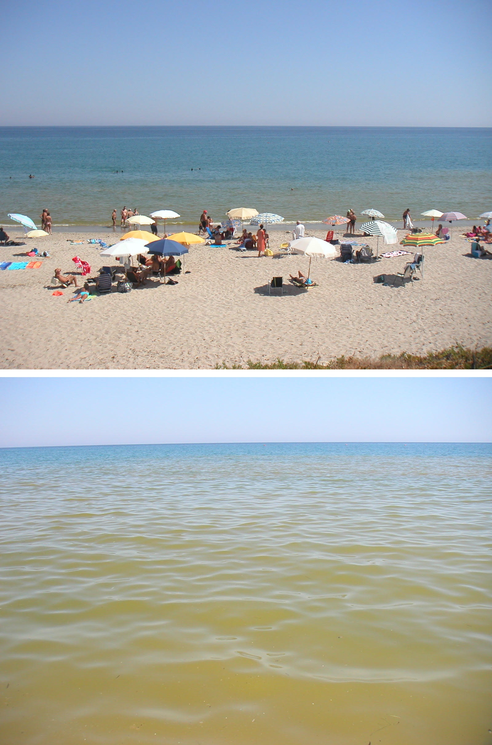 Discolorazione dell’acqua nella spiaggia di Platamona (Golfo dell’Asinara, nord Sardegna, Italia)