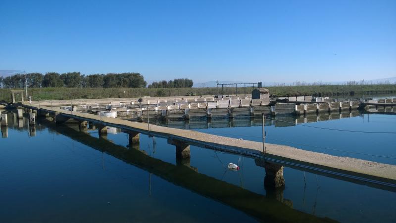 Sito di ricerca della rete LTER Italia - Laguna di Santa Giusta e strutture di pesca