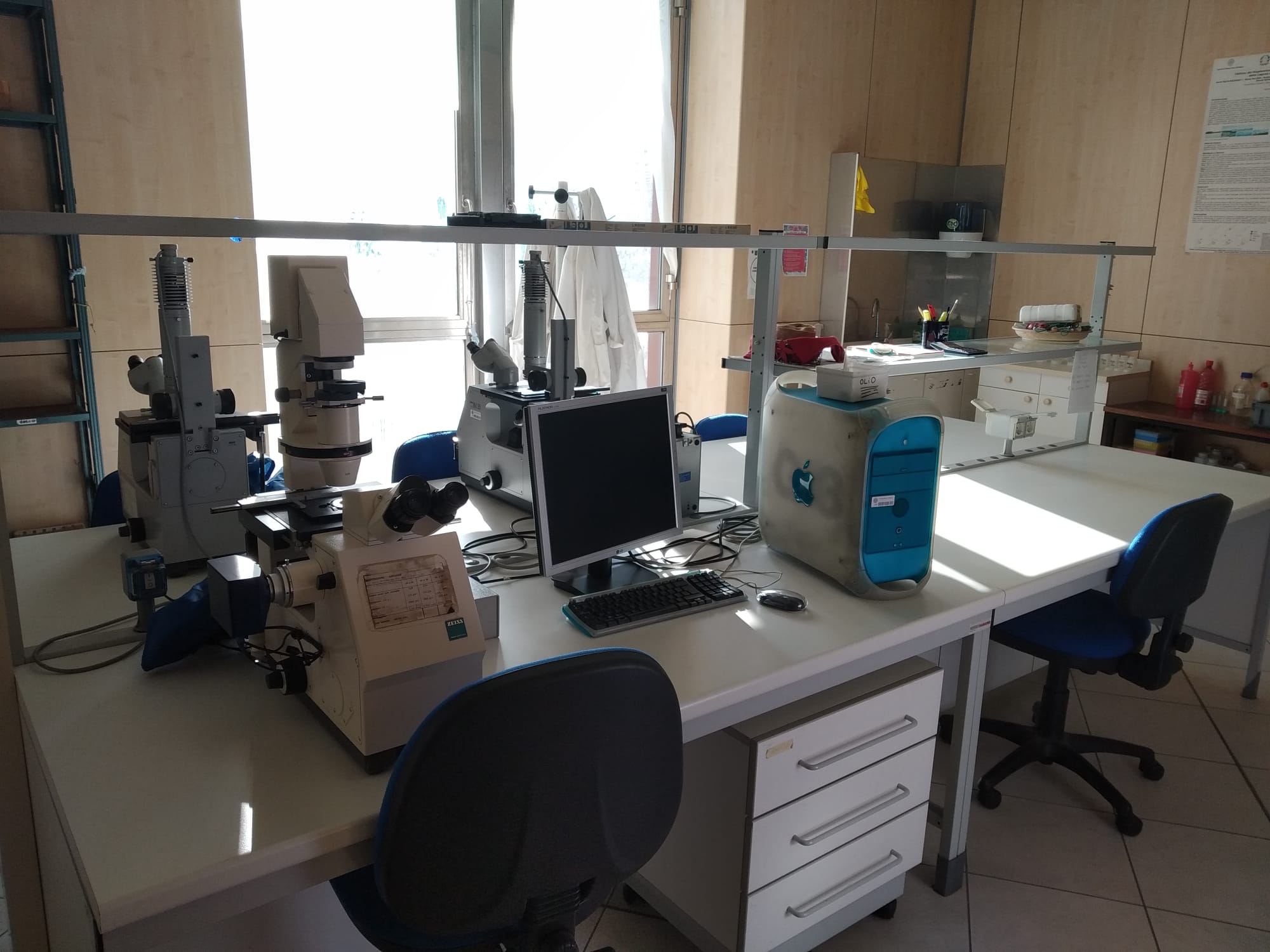 Il laboratorio LEA-MOE