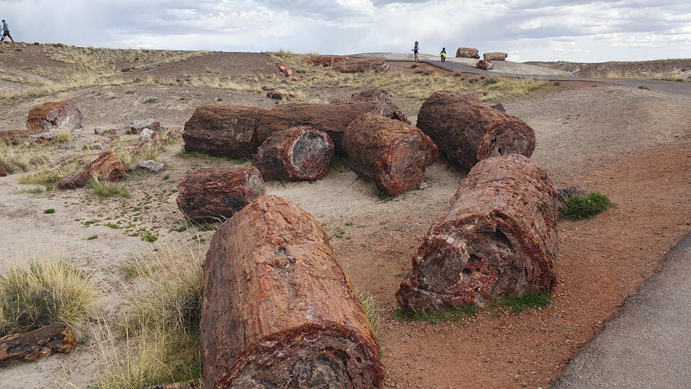Le attività del Laboratorio di Sedimentologia
